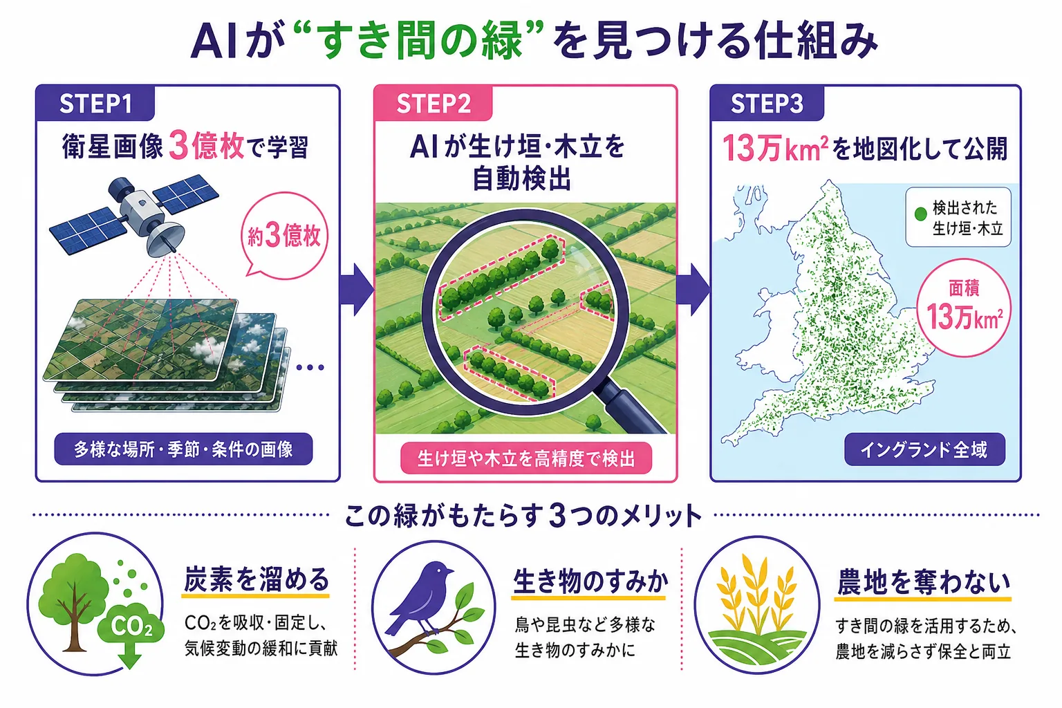 AIが衛星画像で生け垣や木立を見つける3ステップの図解。3億枚の衛星画像で学習し、AIが自動検出し、13万km²を地図化して公開する流れと、炭素・生き物・農地保護の効果。